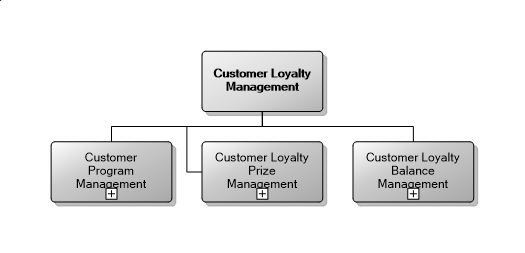 5.21 Customer Loyalty Management