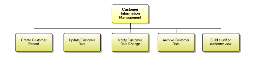 1.3.6 Customer Information Management