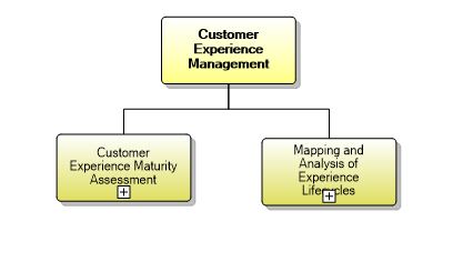 1.3.2 Customer Experience Management