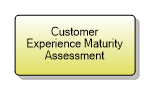 1.3.2.1 Customer Experience Maturity Assessment