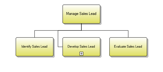 1.1.11.2 Manage Sales Lead