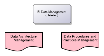 BI Data Management