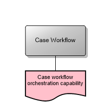 Case Workflow