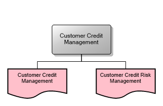 Customer Credit Management