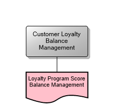 Customer Loyalty Balance Management