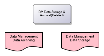 DM Data Storage & Archival