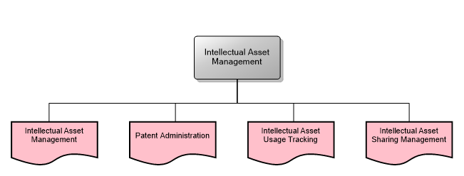 9.6.1 Intellectual Asset Management