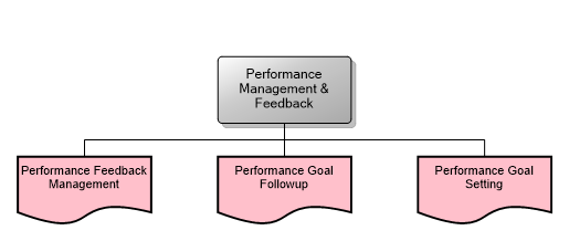 Performance Management & Feedback