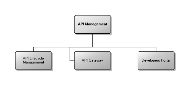 API Management