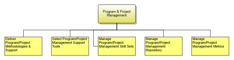 1.7.3.3 Program & Project Management
