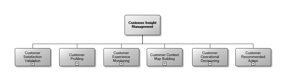 5.5 Customer Insight Management
