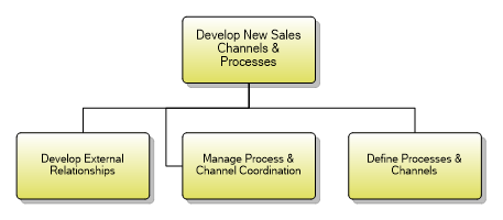 1.1.5.3 Develop New Sales Channels & Processes
