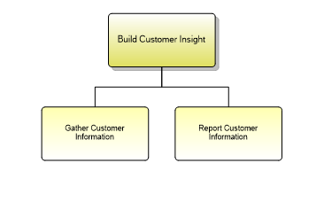 1.3.4.1.1 Build Customer Insight